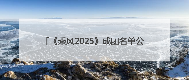 《乘风2025》成团名单公布：62岁叶童获年度总冠军，李晟、陈德容获年度高光人物