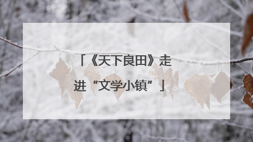 《天下良田》走进“文学小镇”