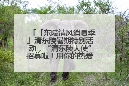 「东陵清风消夏季」清东陵暑期特别活动，“清东陵大使”招募啦！用你的热爱守护世界遗产！