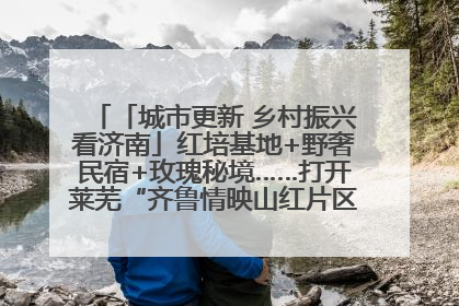 「城市更新 乡村振兴看济南」红培基地+野奢民宿+玫瑰秘境……打开莱芜“齐鲁情映山红片区”的破圈秘籍
