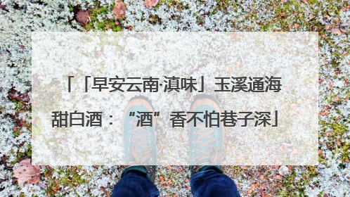 「早安云南·滇味」玉溪通海甜白酒：“酒”香不怕巷子深