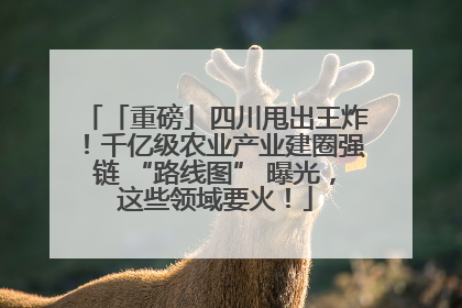 「重磅」四川甩出王炸！千亿级农业产业建圈强链 “路线图” 曝光，这些领域要火！