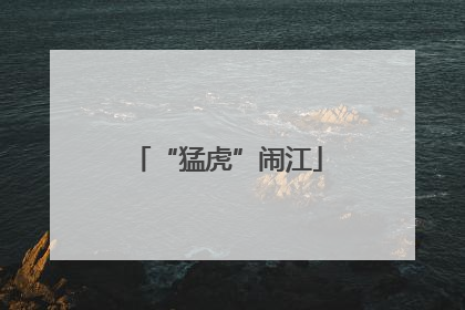 “猛虎”闹江
