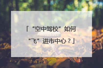 “空中驾校”如何“飞”进市中心？