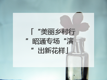 “美丽乡村行”昭通专场“演”出新花样