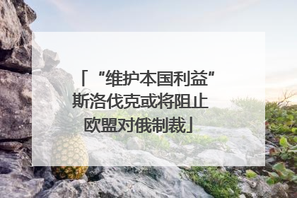 “维护本国利益” 斯洛伐克或将阻止欧盟对俄制裁