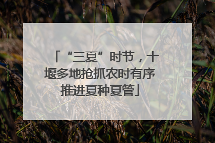 “三夏”时节，十堰多地抢抓农时有序推进夏种夏管