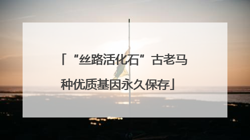 “丝路活化石”古老马种优质基因永久保存