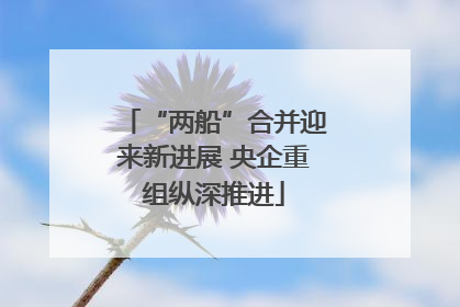 “两船”合并迎来新进展 央企重组纵深推进