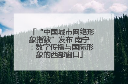 “中国城市网络形象指数”发布 南宁：数字传播与国际形象的西部窗口