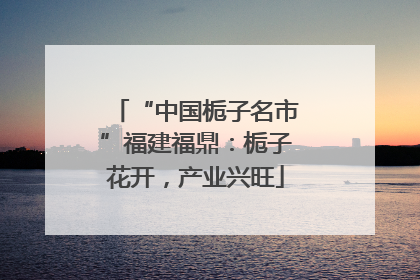“中国栀子名市”福建福鼎：栀子花开，产业兴旺