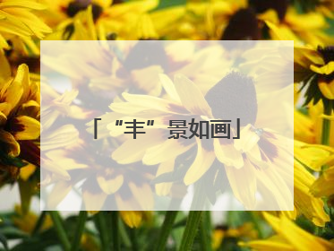 “丰”景如画