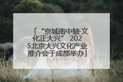 “京城南中轴·文化正大兴” 2025北京大兴文化产业推介会于成都举办
