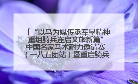 “以马为媒传承军垦精神 重组骑兵连启文旅新篇” 中国名家马术耐力邀请赛（一八五团站）暨重启骑兵连活动正式启动