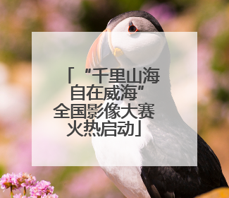“千里山海 自在威海”全国影像大赛火热启动