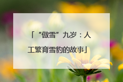“傲雪”九岁：人工繁育雪豹的故事