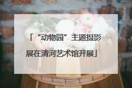 “动物园”主题摄影展在清河艺术馆开展