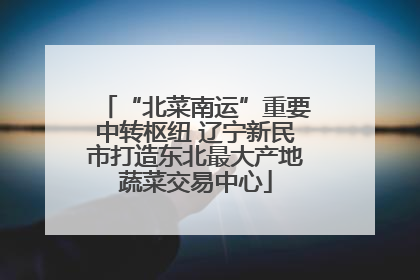 “北菜南运”重要中转枢纽 辽宁新民市打造东北最大产地蔬菜交易中心