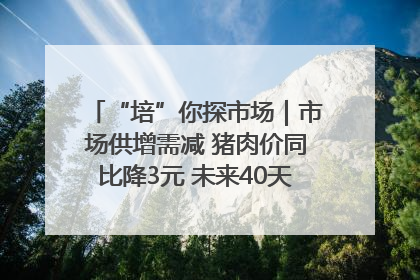 “培”你探市场｜市场供增需减 猪肉价同比降3元 未来40天便宜猪肉敞开吃