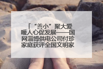 “善小”聚大爱 暖人心促发展——国网淄博供电公司付珍家庭获评全国文明家庭背后的文明密码