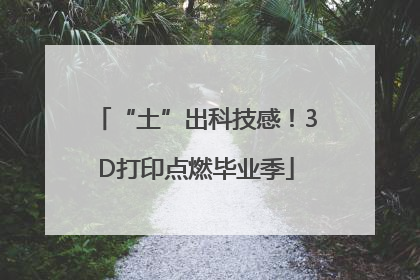 “土”出科技感！3D打印点燃毕业季