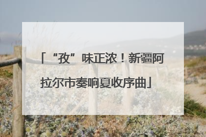 “孜”味正浓！新疆阿拉尔市奏响夏收序曲