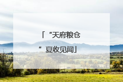 “天府粮仓”夏收见闻