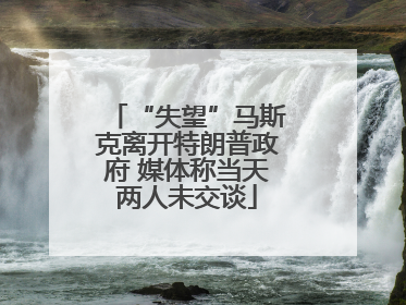 “失望”马斯克离开特朗普政府 媒体称当天两人未交谈