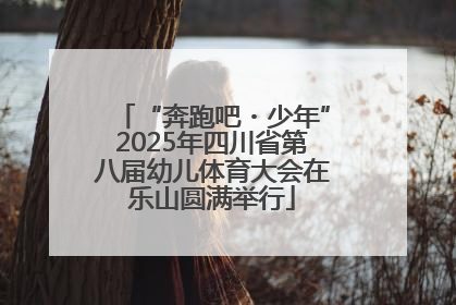 “奔跑吧・少年”2025年四川省第八届幼儿体育大会在乐山圆满举行