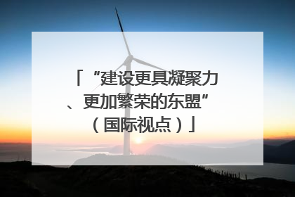 “建设更具凝聚力、更加繁荣的东盟”（国际视点）