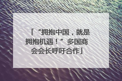 “拥抱中国，就是拥抱机遇！”多国商会会长呼吁合作