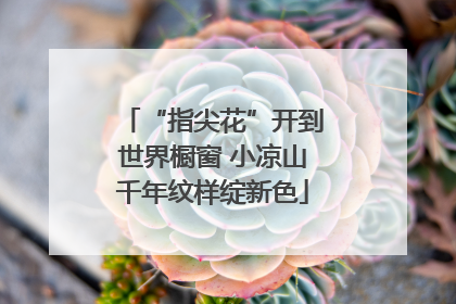 “指尖花”开到世界橱窗 小凉山千年纹样绽新色