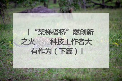 “架梯搭桥”燃创新之火——科技工作者大有作为（下篇）