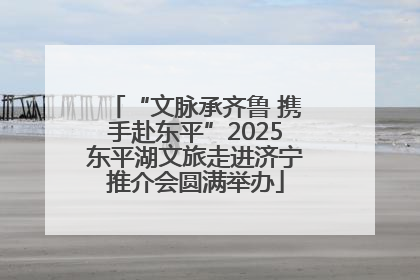 “文脉承齐鲁 携手赴东平”2025东平湖文旅走进济宁推介会圆满举办