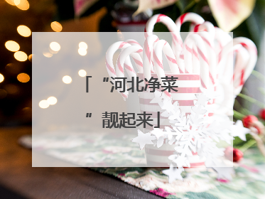 “河北净菜”靓起来