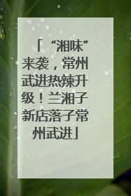 “湘味”来袭，常州武进热辣升级！兰湘子新店落子常州武进