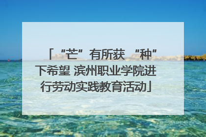 “芒”有所获 “种”下希望 滨州职业学院进行劳动实践教育活动