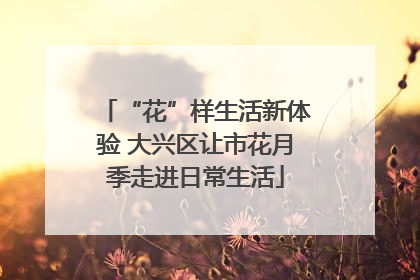 “花”样生活新体验 大兴区让市花月季走进日常生活