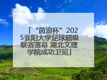 “茵浪杯”2025襄阳大学足球超级联赛落幕 湖北文理学院成功卫冕