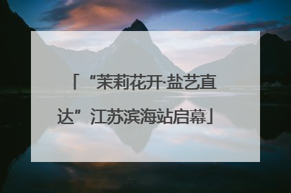 “茉莉花开·盐艺直达”江苏滨海站启幕