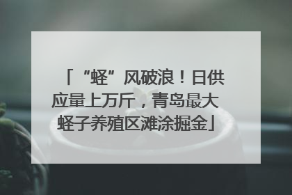 “蛏”风破浪！日供应量上万斤，青岛最大蛏子养殖区滩涂掘金