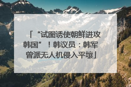 “试图诱使朝鲜进攻韩国”！韩议员：韩军曾派无人机侵入平壤