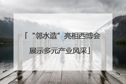 “邻水造”亮相西博会 展示多元产业风采