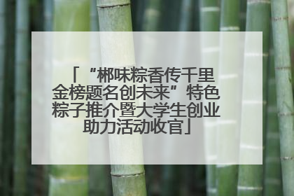“郴味粽香传千里 金榜题名创未来”特色粽子推介暨大学生创业助力活动收官