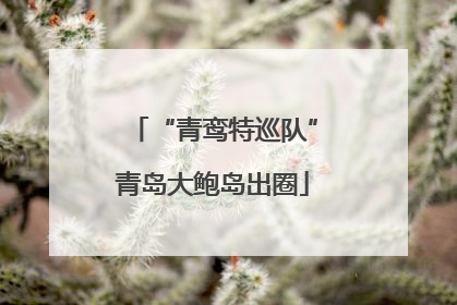 “青鸾特巡队”青岛大鲍岛出圈