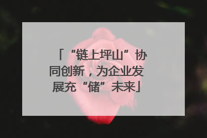 “链上坪山”协同创新,为企业发展充“储”未来