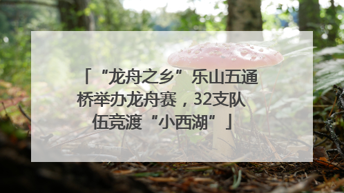 “龙舟之乡”乐山五通桥举办龙舟赛，32支队伍竞渡“小西湖”