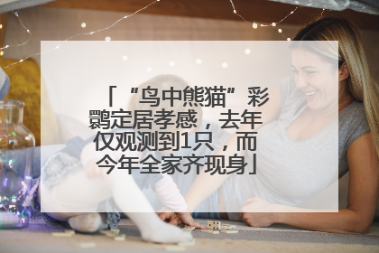 “鸟中熊猫”彩鹮定居孝感，去年仅观测到1只，而今年全家齐现身