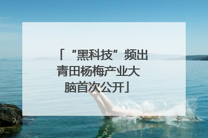 “黑科技”频出 青田杨梅产业大脑首次公开