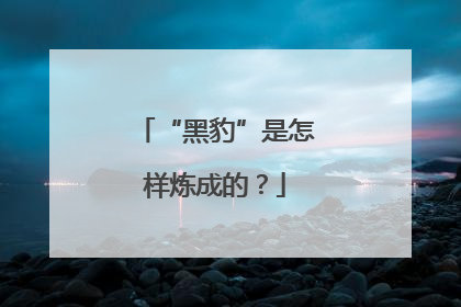 “黑豹”是怎样炼成的？